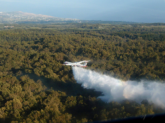 Feu de forêt à la Réunion