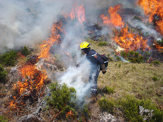 Feu de forêt à la Réunion