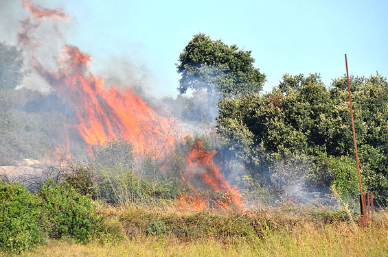 Feu de fontanès (34)