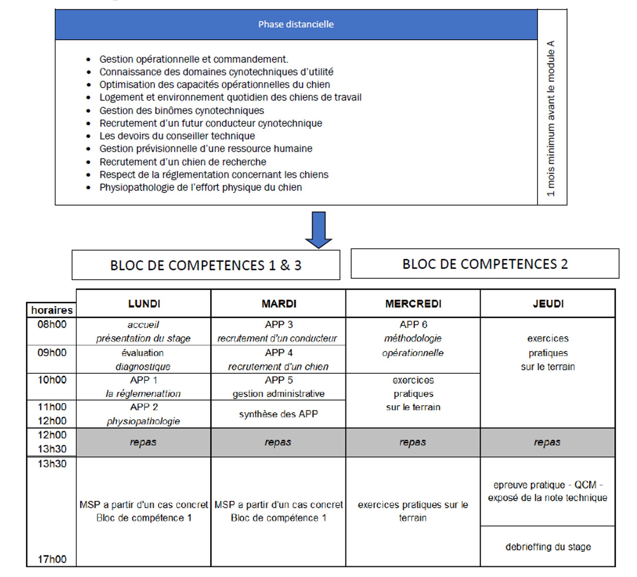 Programme CYN3 Conseiller technique cynotechnique