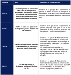 Chronogramme Formation PLG - MLG